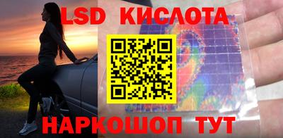 гашик Сертолово