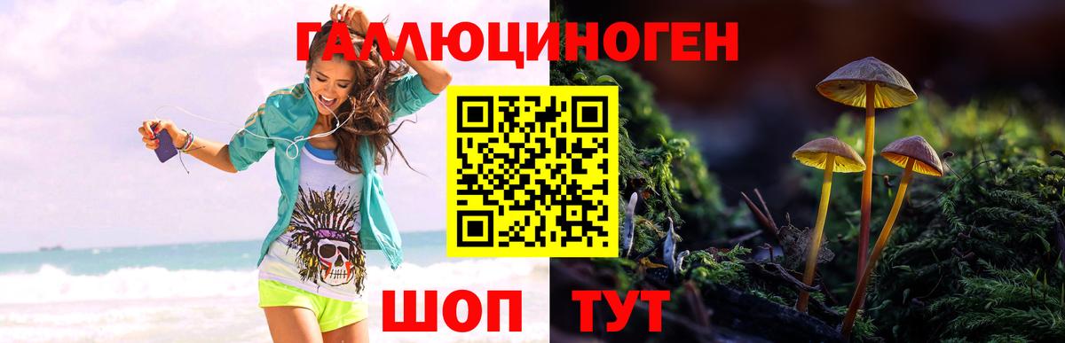 Долгопрудный  Галлюциногенные грибы MAGIC MUSHROOMS  Галлюциногенные грибы Magic Shrooms  Вход с VPN 